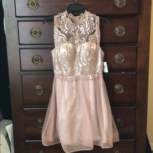 Blush pink sparkly dress with ribbon skirt